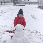 phoca_thumb_m_veverky na snhu 3 Fotogalerie